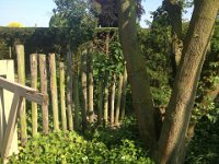 Decorative fence of poles